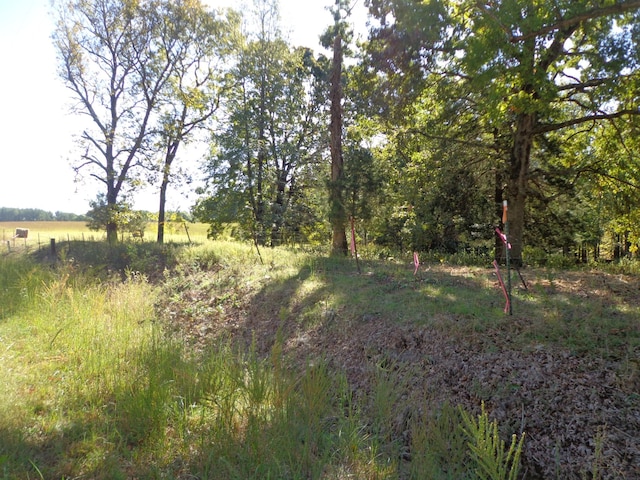 0 Halls Creek Rd, Waverly, TN 37185