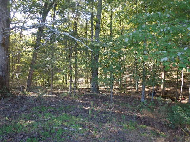 0 Halls Creek Rd, Waverly, TN 37185