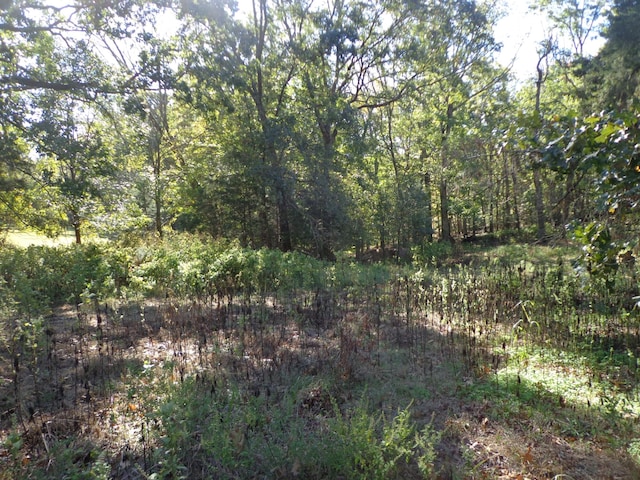 0 Halls Creek Rd, Waverly, TN 37185