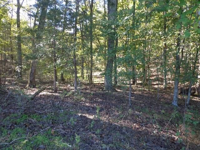 0 Halls Creek Rd, Waverly, TN 37185