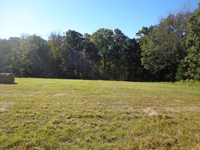 0 Halls Creek Rd, Waverly TN, 37185 land for sale