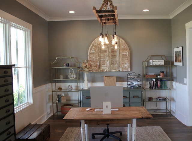 office area featuring crown molding, a healthy amount of sunlight, and dark hardwood / wood-style flooring