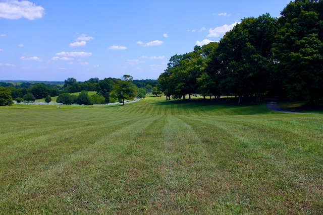 view of yard featuring a water view