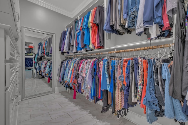 view of spacious closet