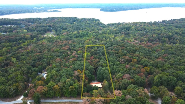 450 Pinson Ln, Big Sandy, TN 38221 - birds eye view of property with a view of trees