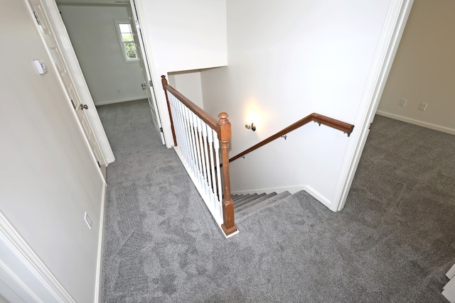 staircase featuring carpet flooring