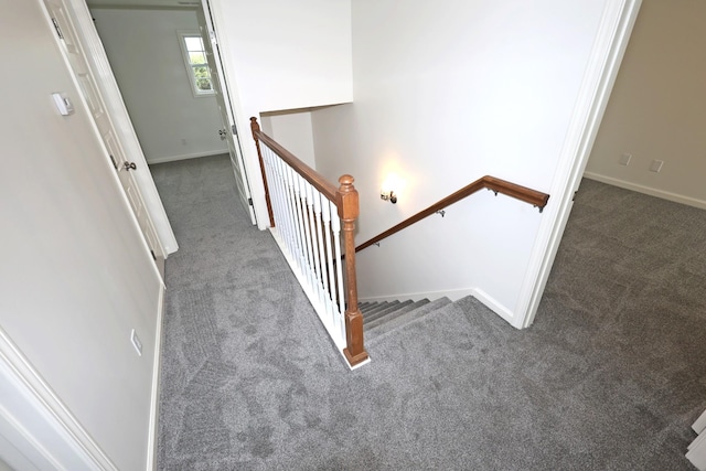 stairs featuring carpet and baseboards