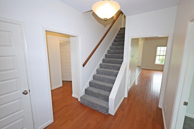 stairway with wood-type flooring