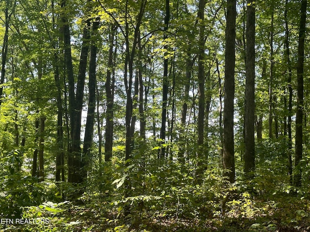 view of landscape