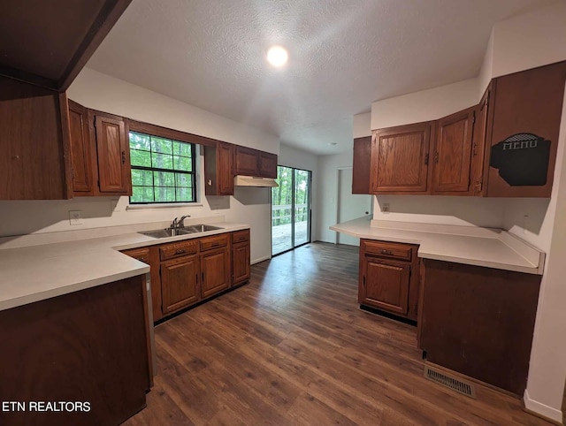 kitchen featuring dark wood-type flooring, sink, a textured ceiling, and a healthy amount of sunlight