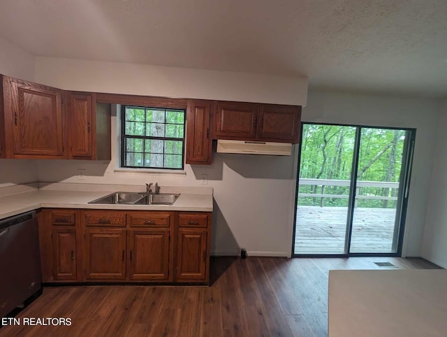 kitchen with dishwasher, dark hardwood / wood-style floors, and sink