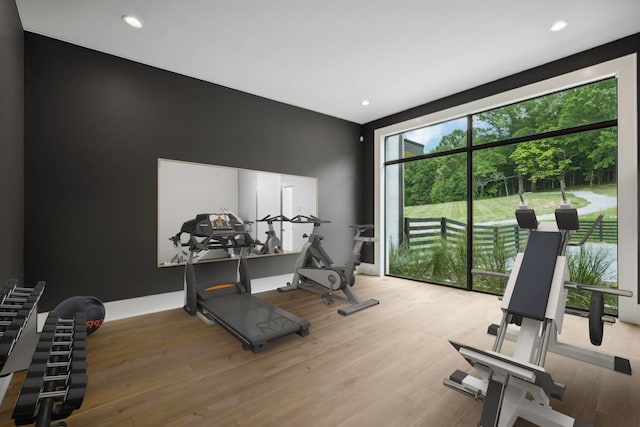 workout area featuring hardwood / wood-style floors