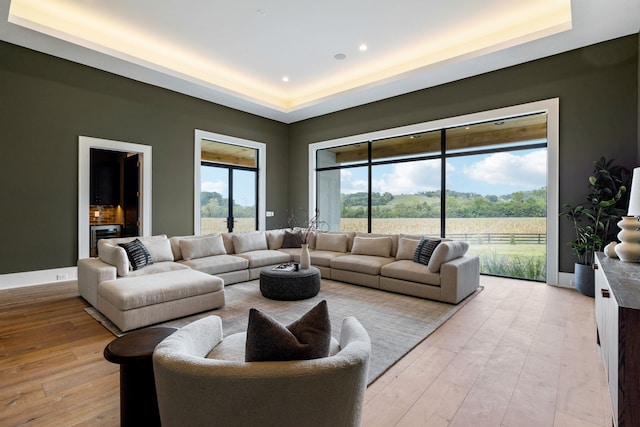 living room featuring a raised ceiling and light wood-type flooring