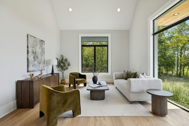 living area featuring a healthy amount of sunlight, high vaulted ceiling, and light hardwood / wood-style flooring