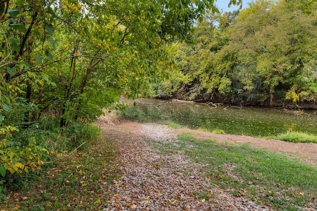 view of landscape featuring a water view and a forest view