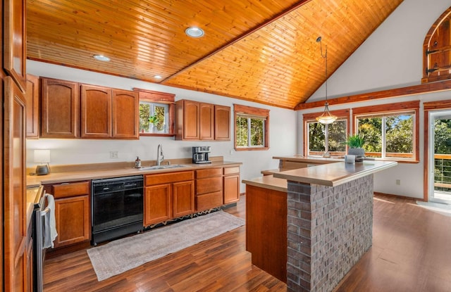 kitchen featuring dishwasher, dark wood-type flooring, a sink, and wood ceiling