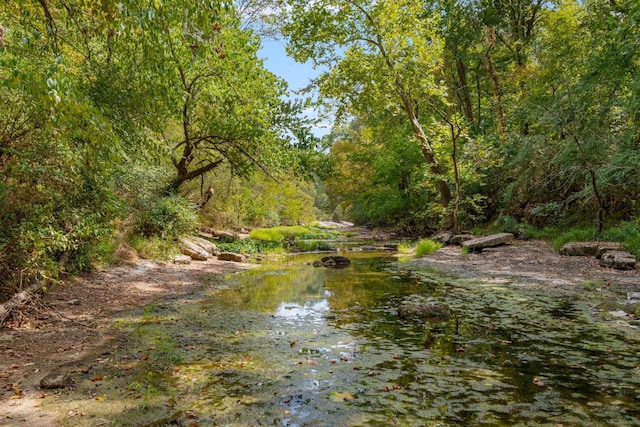 water view with a forest view