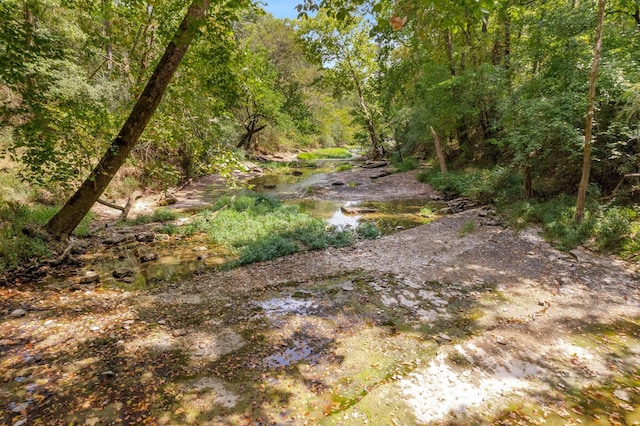 view of local wilderness featuring a forest view