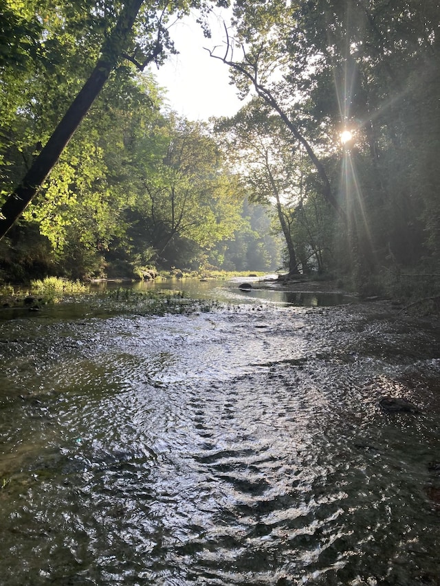 water view with a wooded view