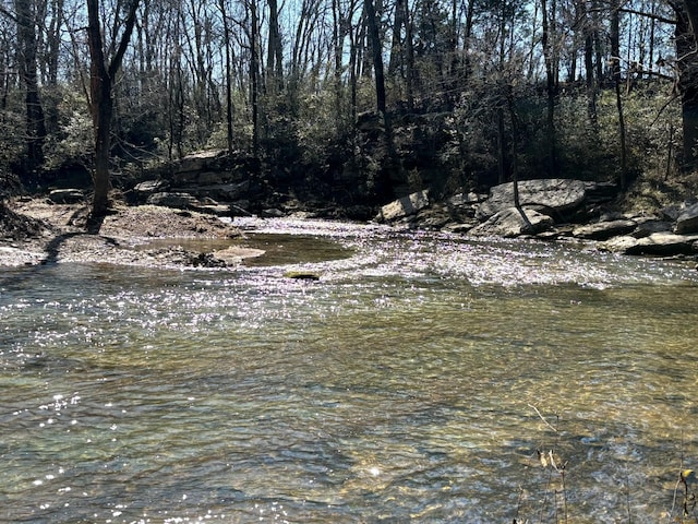 property view of water featuring a forest view