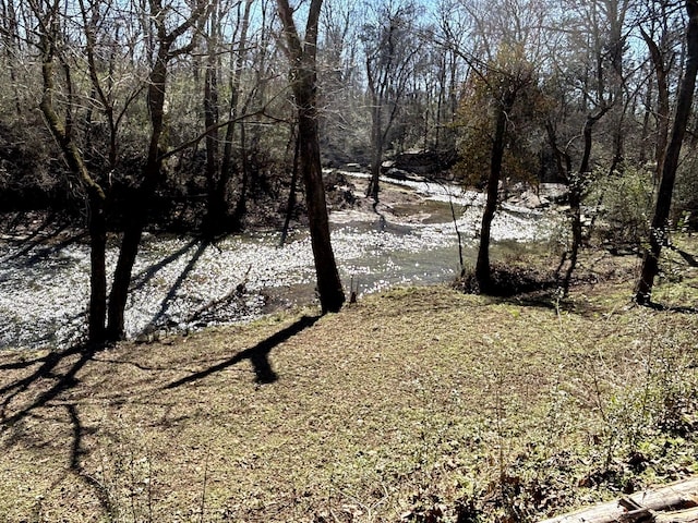 view of nature featuring a wooded view