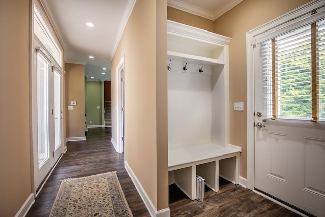 mudroom featuring dark hardwood / wood-style floors and crown molding