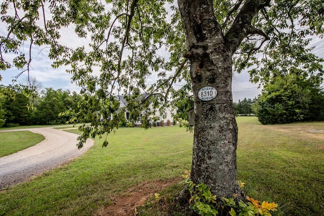 view of home's community with a yard