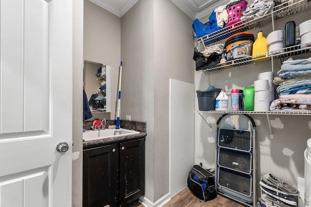 interior space featuring a sink, wood finished floors, and ornamental molding