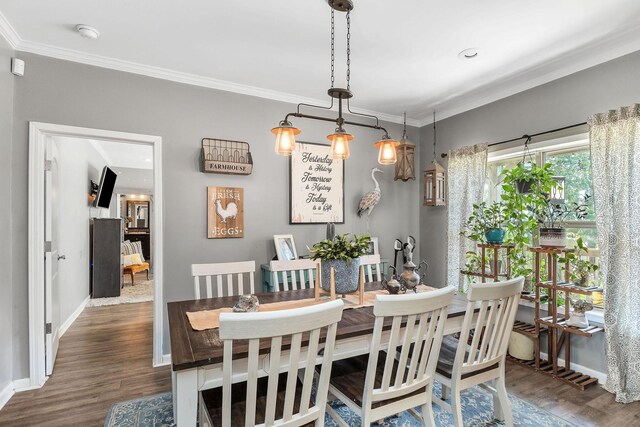 dining space featuring crown molding and dark hardwood / wood-style floors