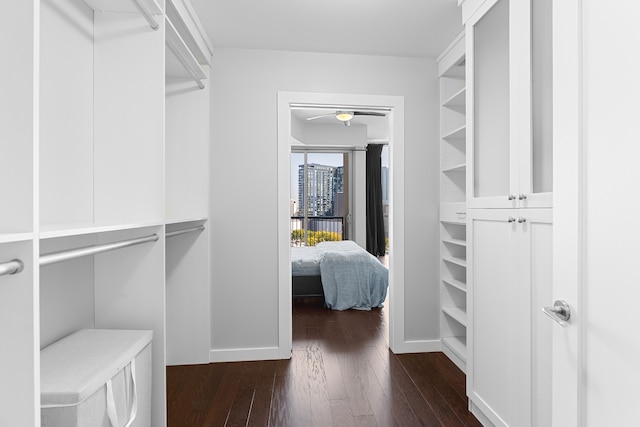 walk in closet featuring dark hardwood / wood-style flooring