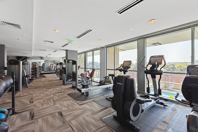 gym with a healthy amount of sunlight, carpet, and expansive windows