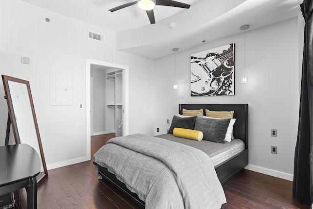 bedroom featuring a walk in closet, ceiling fan, dark hardwood / wood-style floors, and a closet