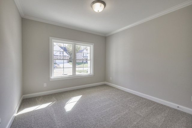 carpeted empty room featuring ornamental molding