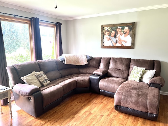 living room with light wood-type flooring and crown molding