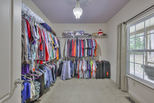 spacious closet featuring carpet