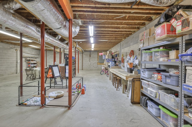 basement featuring electric panel