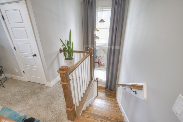 stairway featuring hardwood / wood-style floors