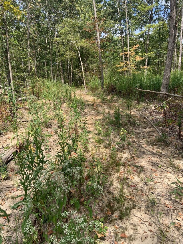 0 Rocky Point Rd, Stewart, TN 37175