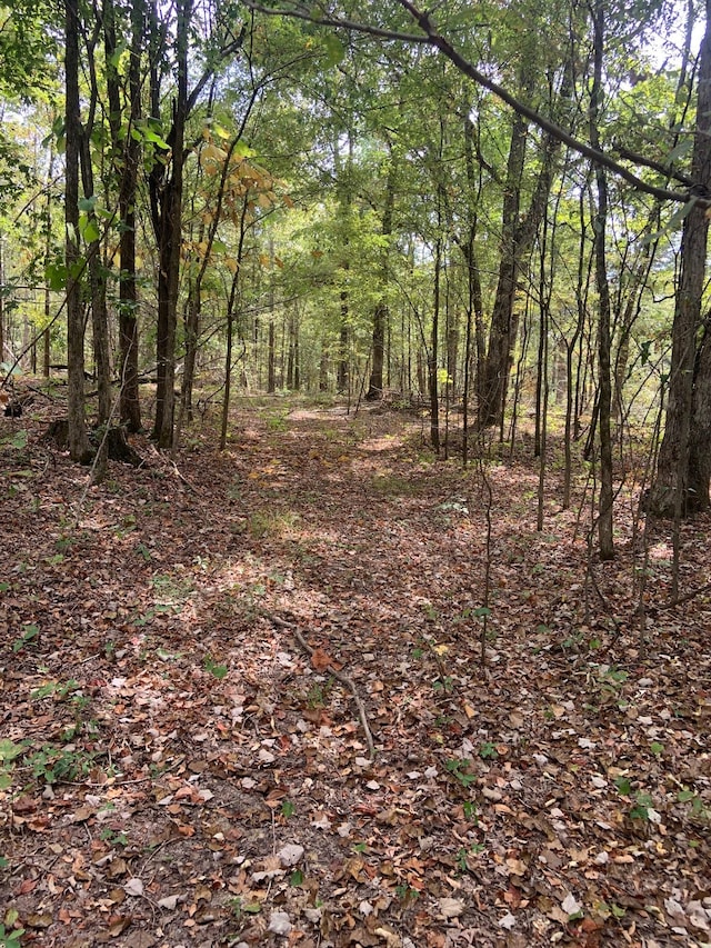0 Rocky Point Rd, Stewart, TN 37175