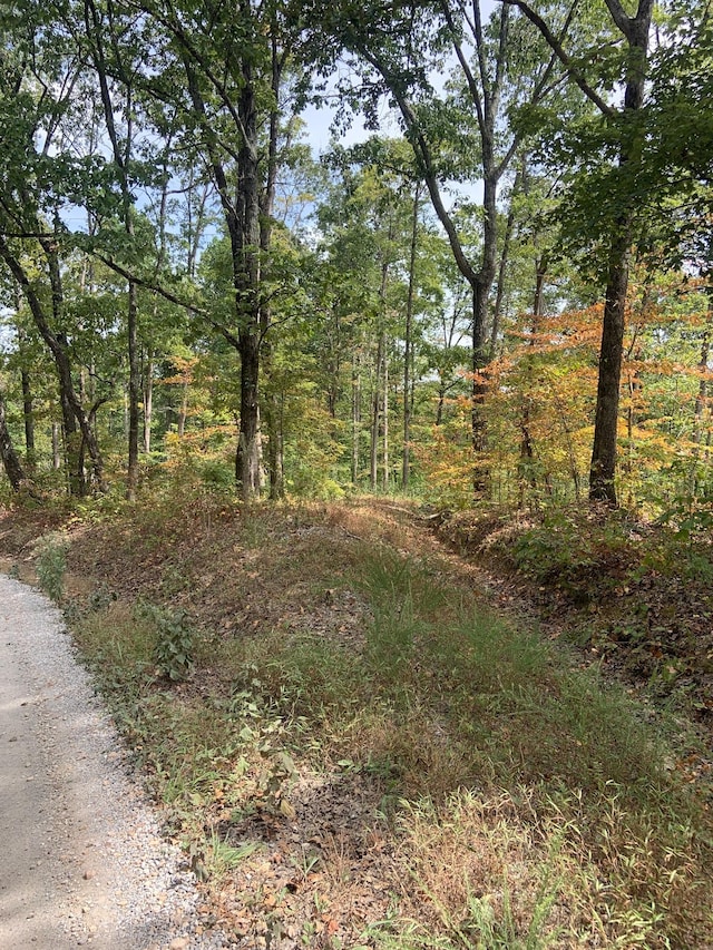 0 Rocky Point Rd, Stewart, TN 37175