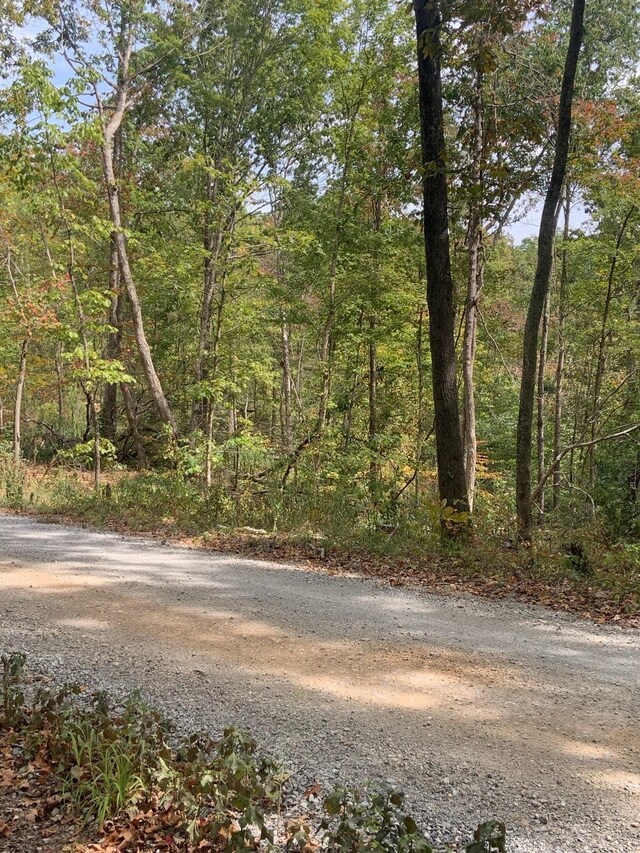 0 Rocky Point Rd, Stewart, TN 37175