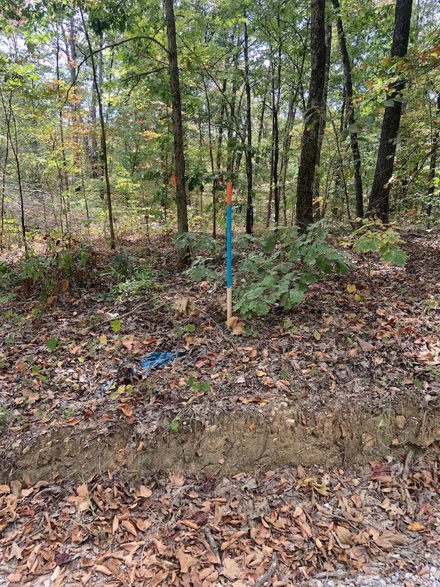 0 Rocky Point Rd, Stewart, TN 37175