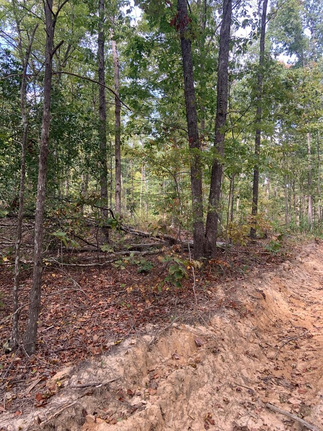 0 Rocky Point Rd, Stewart, TN 37175