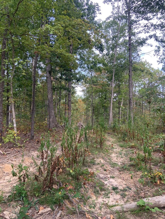 0 Rocky Point Rd, Stewart, TN 37175