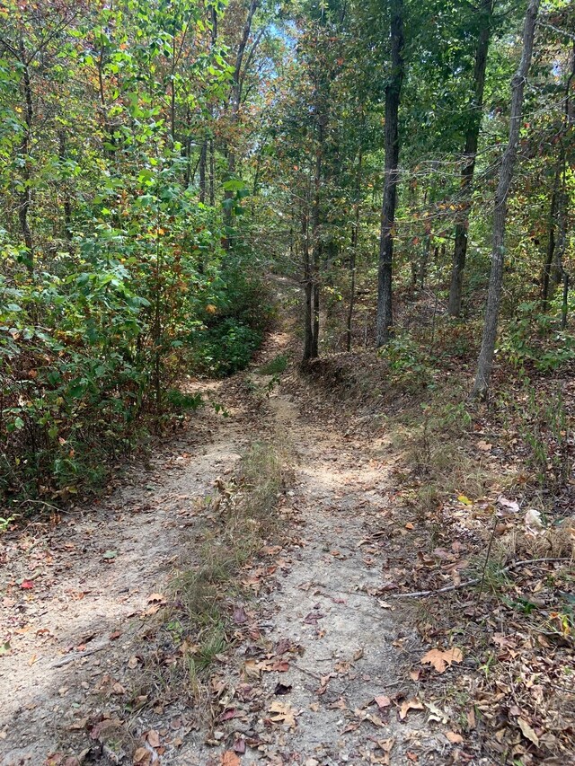0 Rocky Point Rd, Stewart, TN 37175