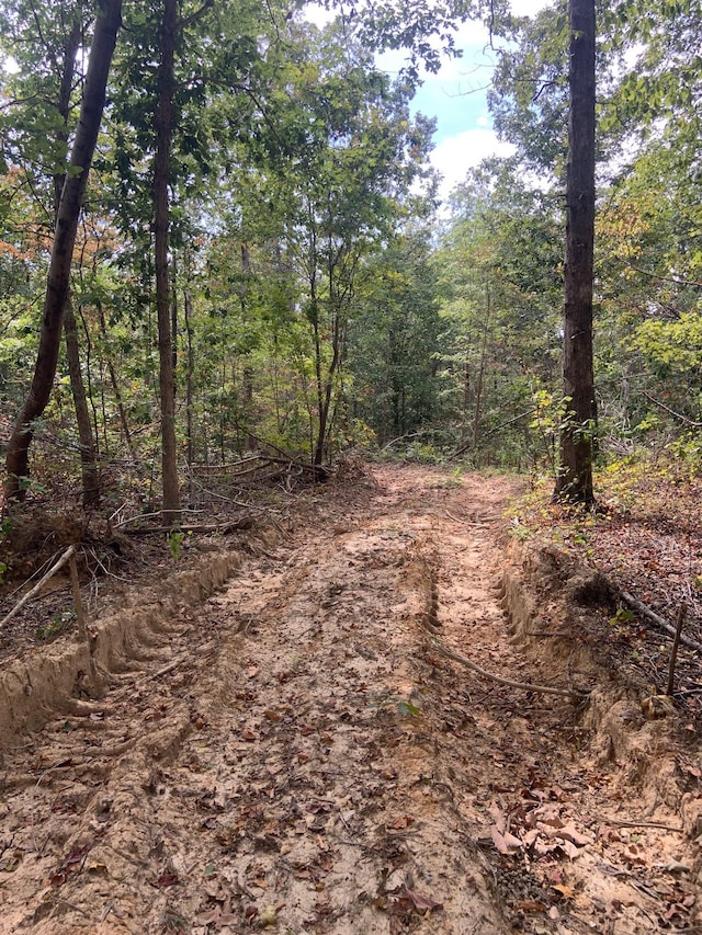0 Rocky Point Rd, Stewart, TN 37175