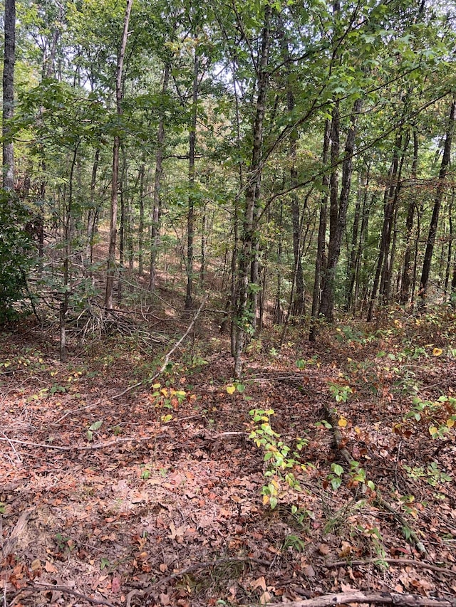 0 Rocky Point Rd, Stewart, TN 37175