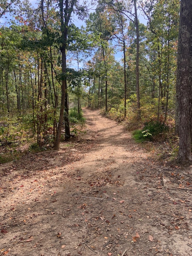 0 Rocky Point Rd, Stewart, TN 37175