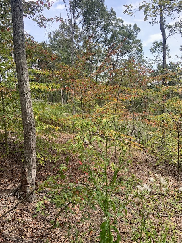 0 Rocky Point Rd, Stewart, TN 37175
