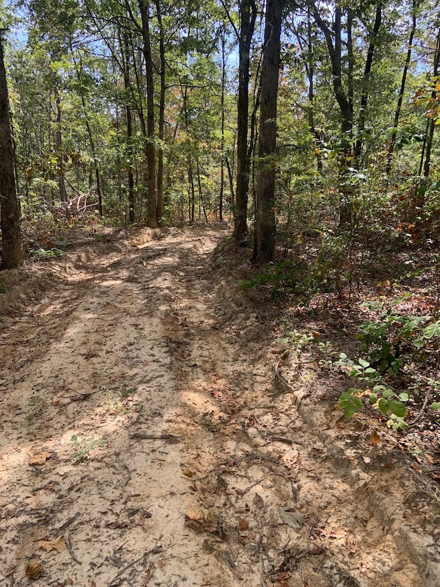 0 Rocky Point Rd, Stewart, TN 37175